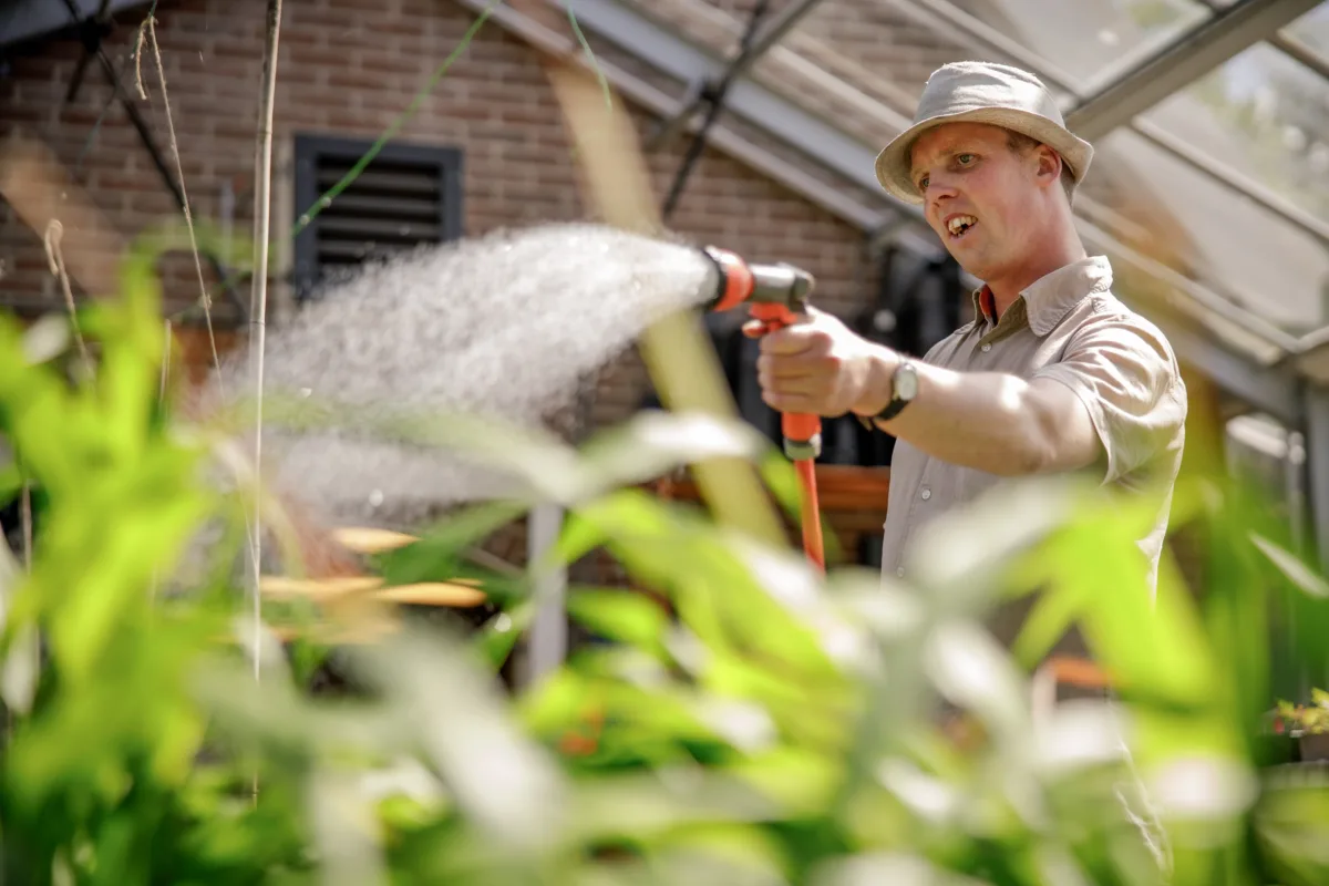 client, planten water geven
